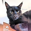 Thumbnail photo of Meredith #1