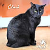 Thumbnail photo of Clark #1