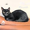 Thumbnail photo of Meredith #2
