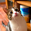 Thumbnail photo of Sam 3 #1