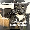 Thumbnail photo of Greyson #1