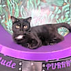 Thumbnail photo of Chuck #1