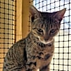Thumbnail photo of Estelle #2