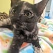 Thumbnail photo of Lenore #3
