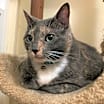 Thumbnail photo of Alice #2