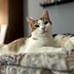 Thumbnail photo of Olaf #2