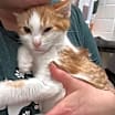 Thumbnail photo of Olaf #3