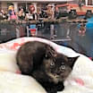 Thumbnail photo of Eleven #2