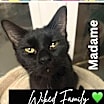 Thumbnail photo of Madame #3