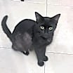 Thumbnail photo of Madame #4