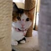 Thumbnail photo of Zoe #2