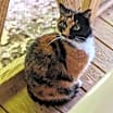 Thumbnail photo of Charlotte #2