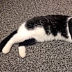 Thumbnail photo of Nelson #2
