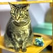 Thumbnail photo of Harper #2