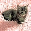 Thumbnail photo of Angela #2