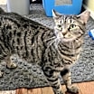Thumbnail photo of Roberta #1