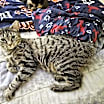 Thumbnail photo of Roberta #3
