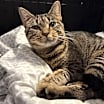 Thumbnail photo of Sarita #2