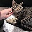 Thumbnail photo of Sarita #3