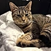 Thumbnail photo of Sarita #4