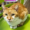 Thumbnail photo of Lillian #3