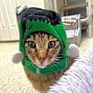 Thumbnail photo of Jinksies #3