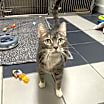 Thumbnail photo of Momma #1