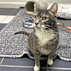 Thumbnail photo of Momma #2