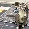 Thumbnail photo of Momma #3
