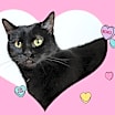 Thumbnail photo of Nova #2