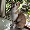 Thumbnail photo of Hannah #4