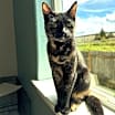 Thumbnail photo of Evie #3