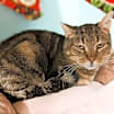 Thumbnail photo of Jerry #3