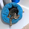 Thumbnail photo of Gia #3