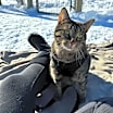 Thumbnail photo of Gia #4