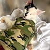 Thumbnail photo of Armstrong #3