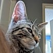 Thumbnail photo of Kiki #4