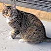 Thumbnail photo of Greta #1