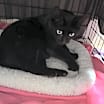 Thumbnail photo of My Maria 1111 #2