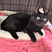 Thumbnail photo of My Maria 1111 #3