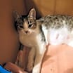 Thumbnail photo of Nikki #4