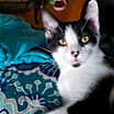 Thumbnail photo of Mikey #2