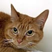 Thumbnail photo of Meredith #1