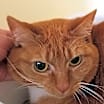 Thumbnail photo of Meredith #2