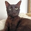 Thumbnail photo of Samantha #1