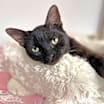 Thumbnail photo of Samantha #2