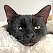 Thumbnail photo of Samantha #3