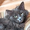Thumbnail photo of Betty #1
