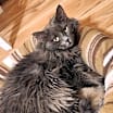 Thumbnail photo of Betty #2