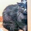 Thumbnail photo of Betty #3